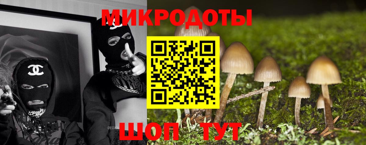 Галлюциногенные грибы Psilocybine cubensis Ачинск
